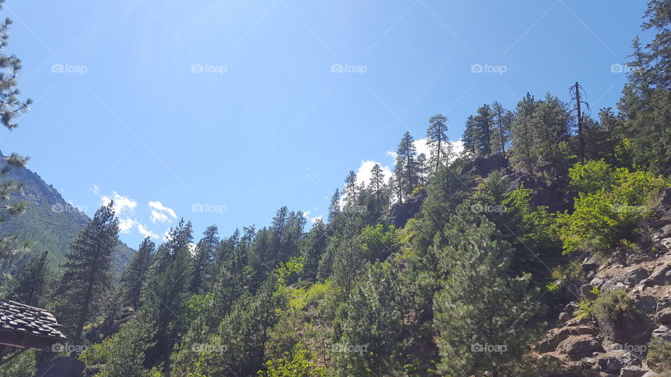 clouds and trees