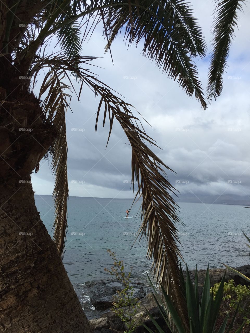 Océano atlántico Islas Canarias 