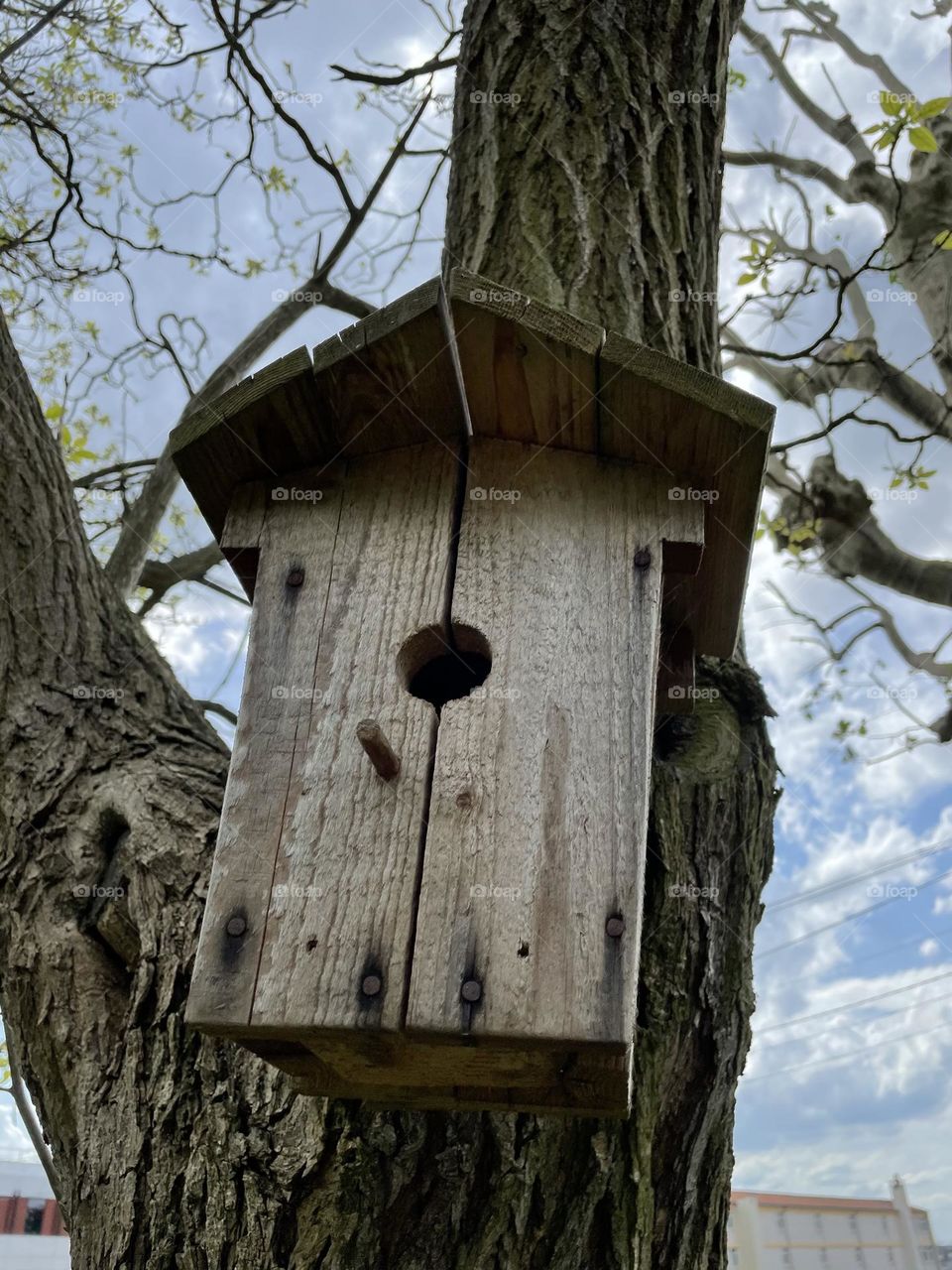 A bird house on tree