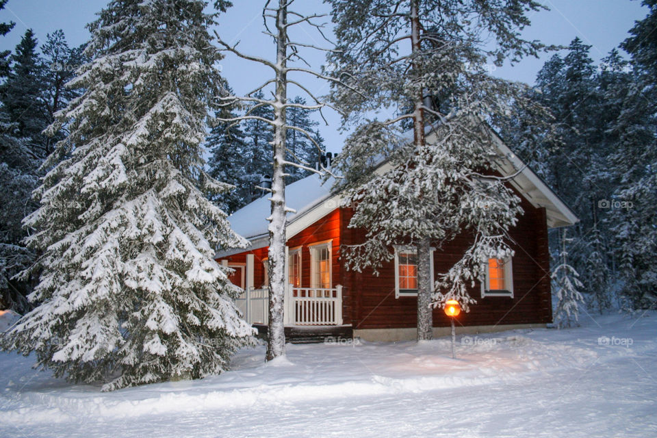 Cabin in snowy forest