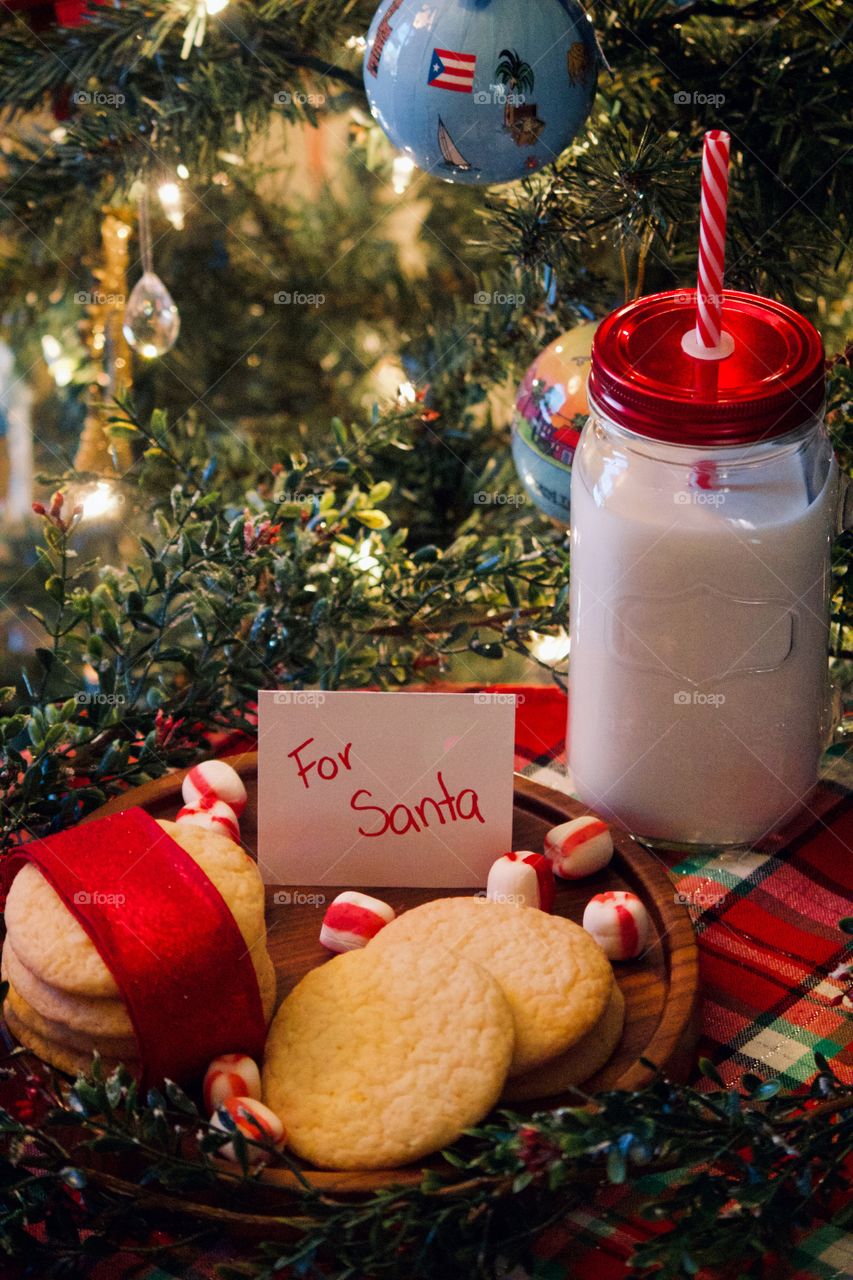 Christmas cookies and milk for Santa 