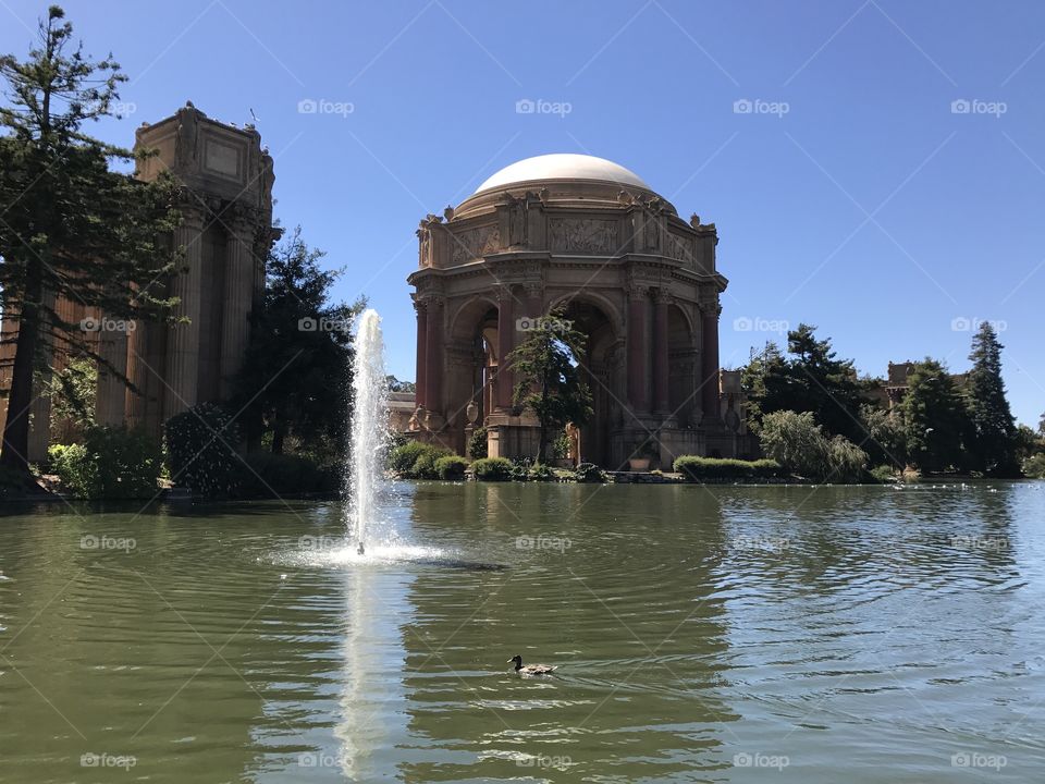 The Palace of Fine Arts