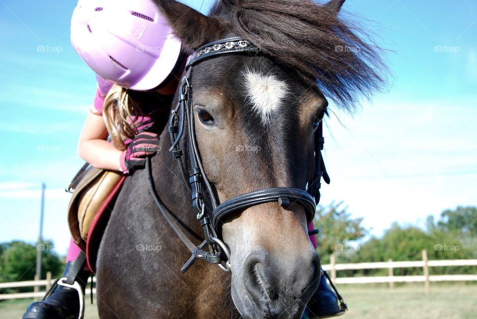 A girl and the love of a pony