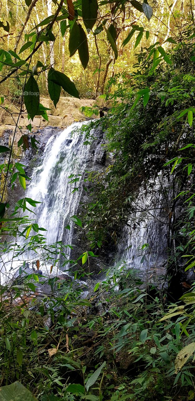 waterfall inside the forest