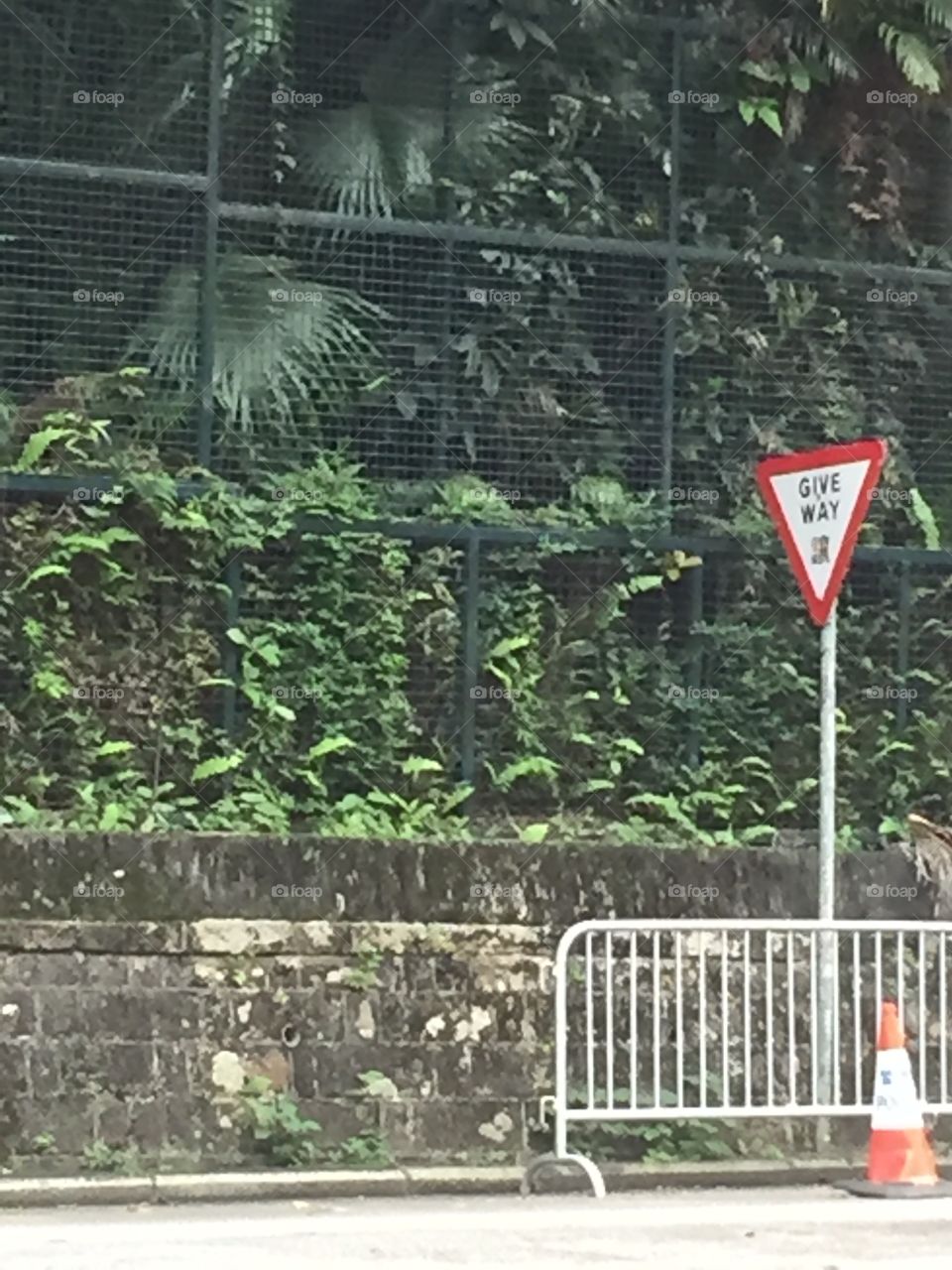 Give Way Traffic Sign by Victoria Peak Garden.  Hing Kong, China. 
