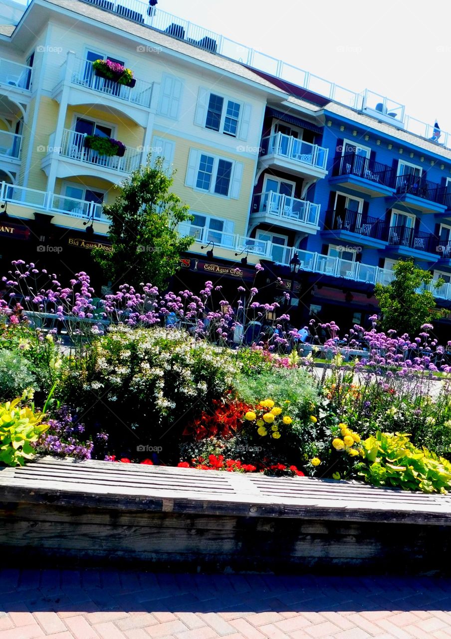 A summer urban garden