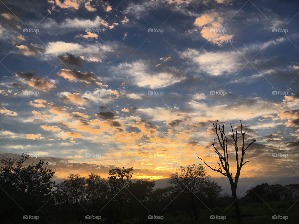 🌅Desperte, #Jundiaí.
Que o #sábado seja muito bom. 
🍃
#sol #sun #sky #céu #photo #nature #morning #alvorada #natureza #horizonte #fotografia #pictureoftheday #paisagem #inspiração #amanhecer #mobgraphy #mobgrafia 