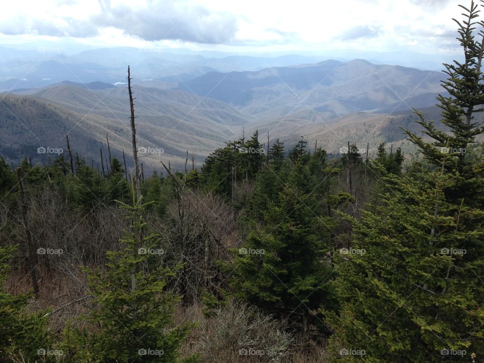 Great Smoky Mountains National Park