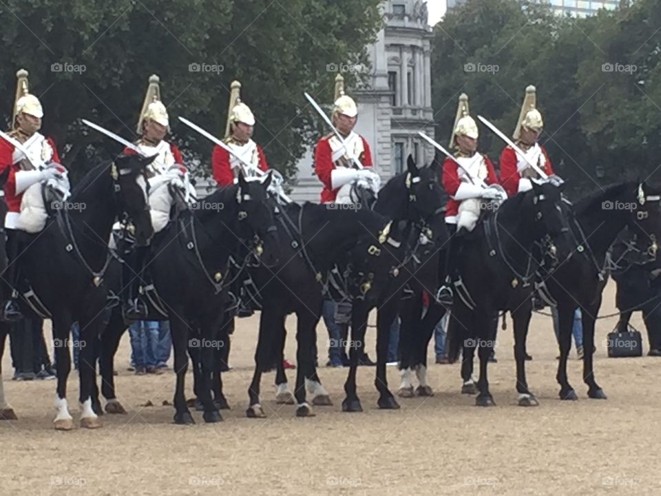 Changing of Guards horses
