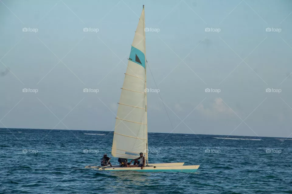 Sea adventure
