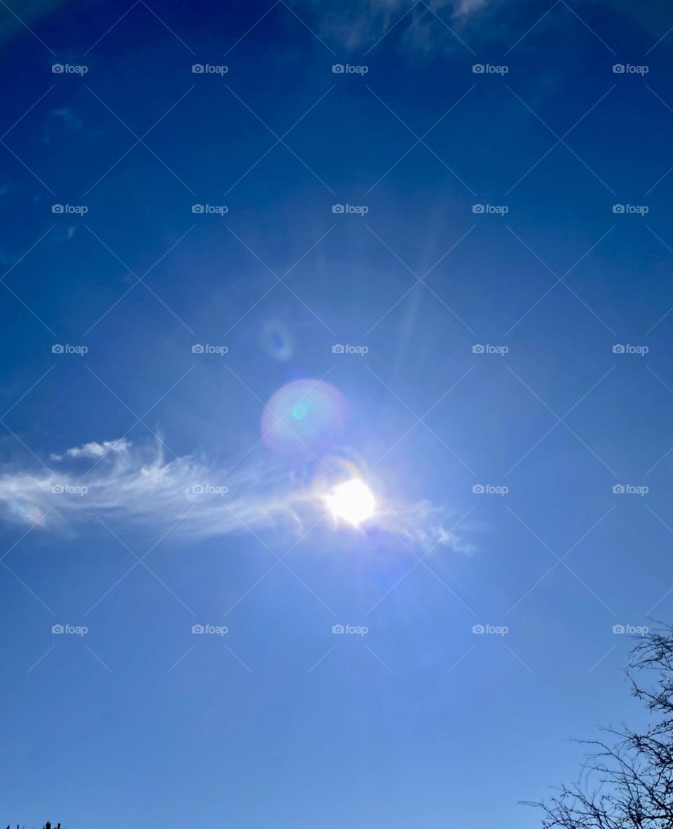 Ángels feeders,and more from the sun