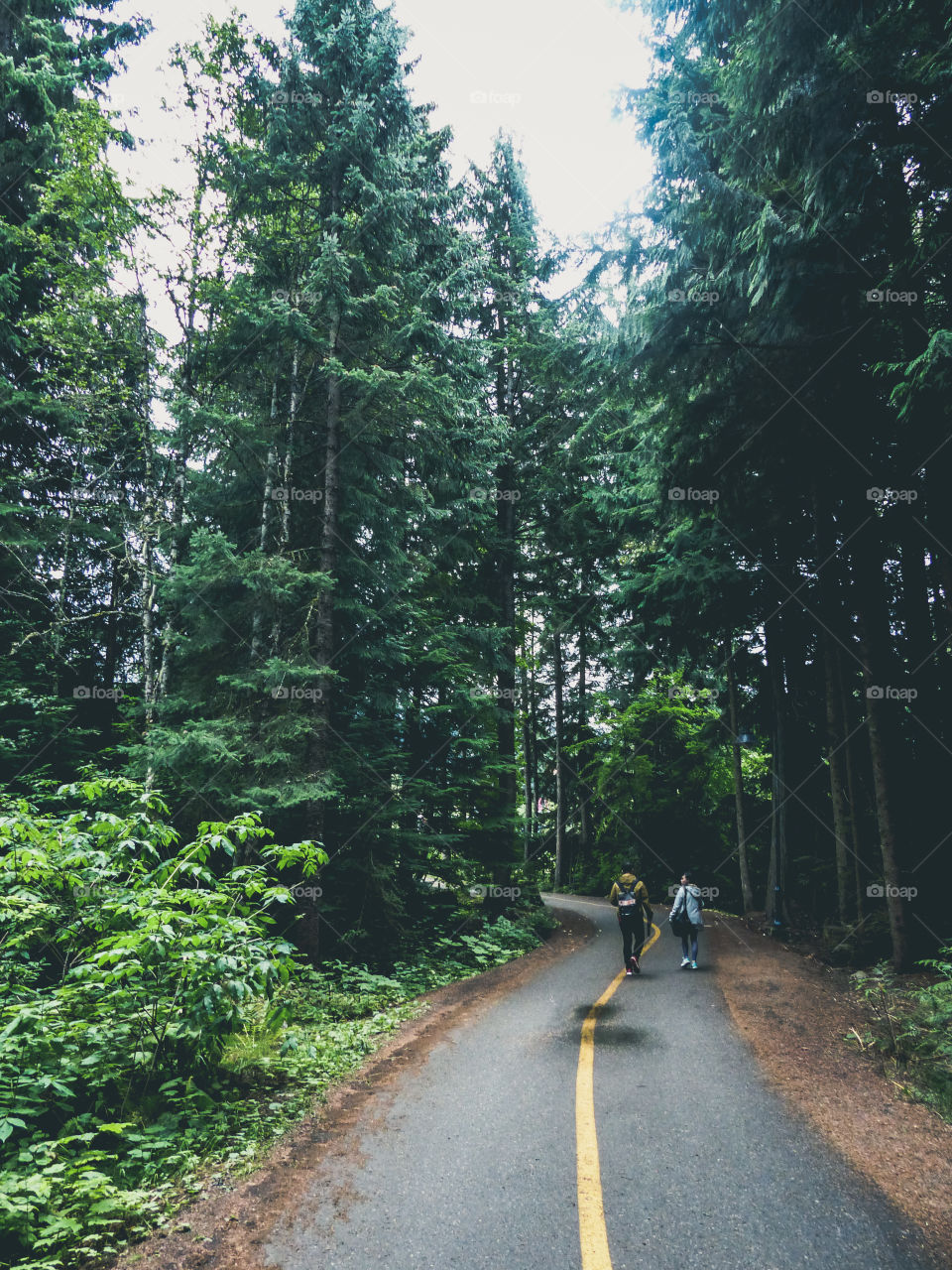 Rear view couple waking on forest road