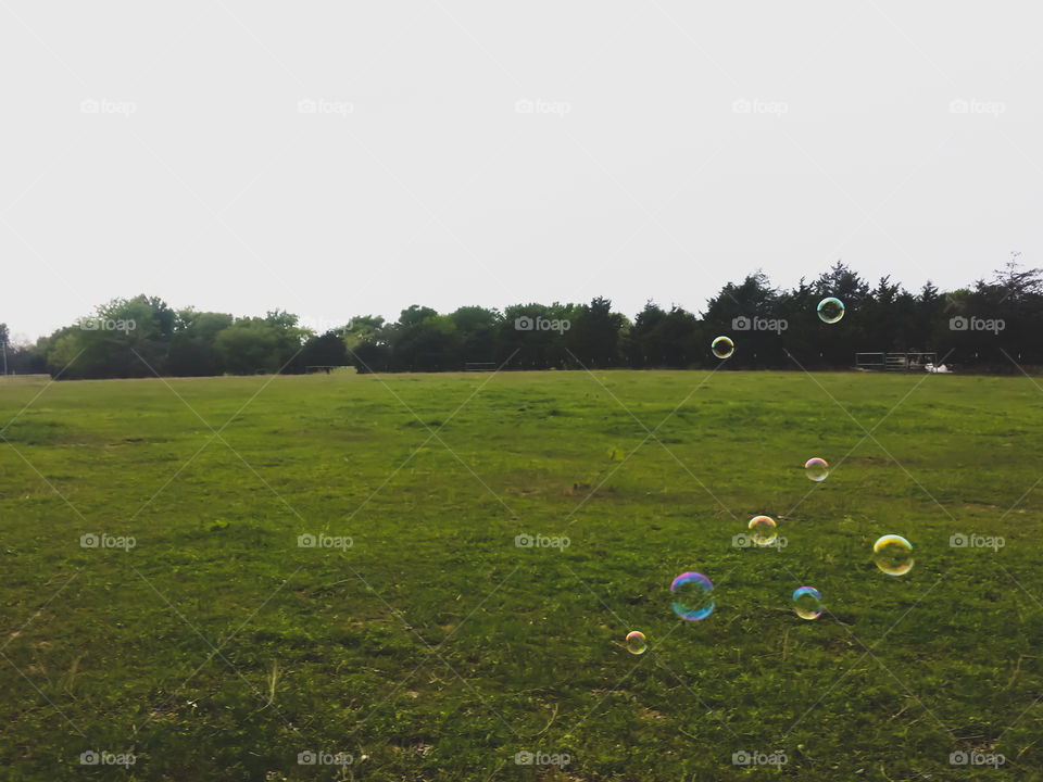 Colorful Bubbles Blowing Across A Field