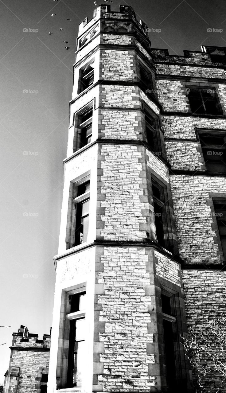 Looking up at the southwest corner of the Museum of Nature as pigeons fly away.