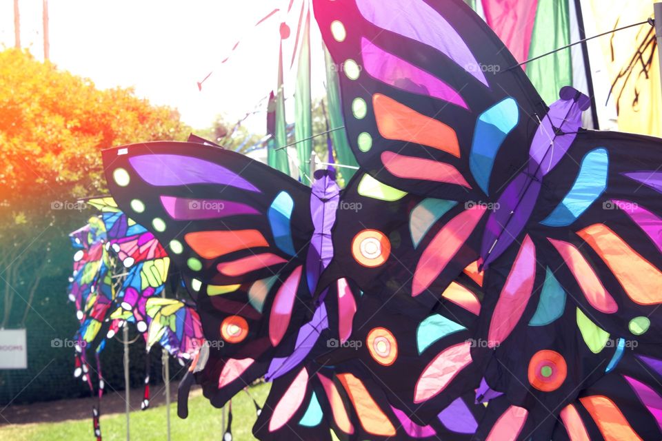 Butterfly Kite. A picture of kites and streamers. 