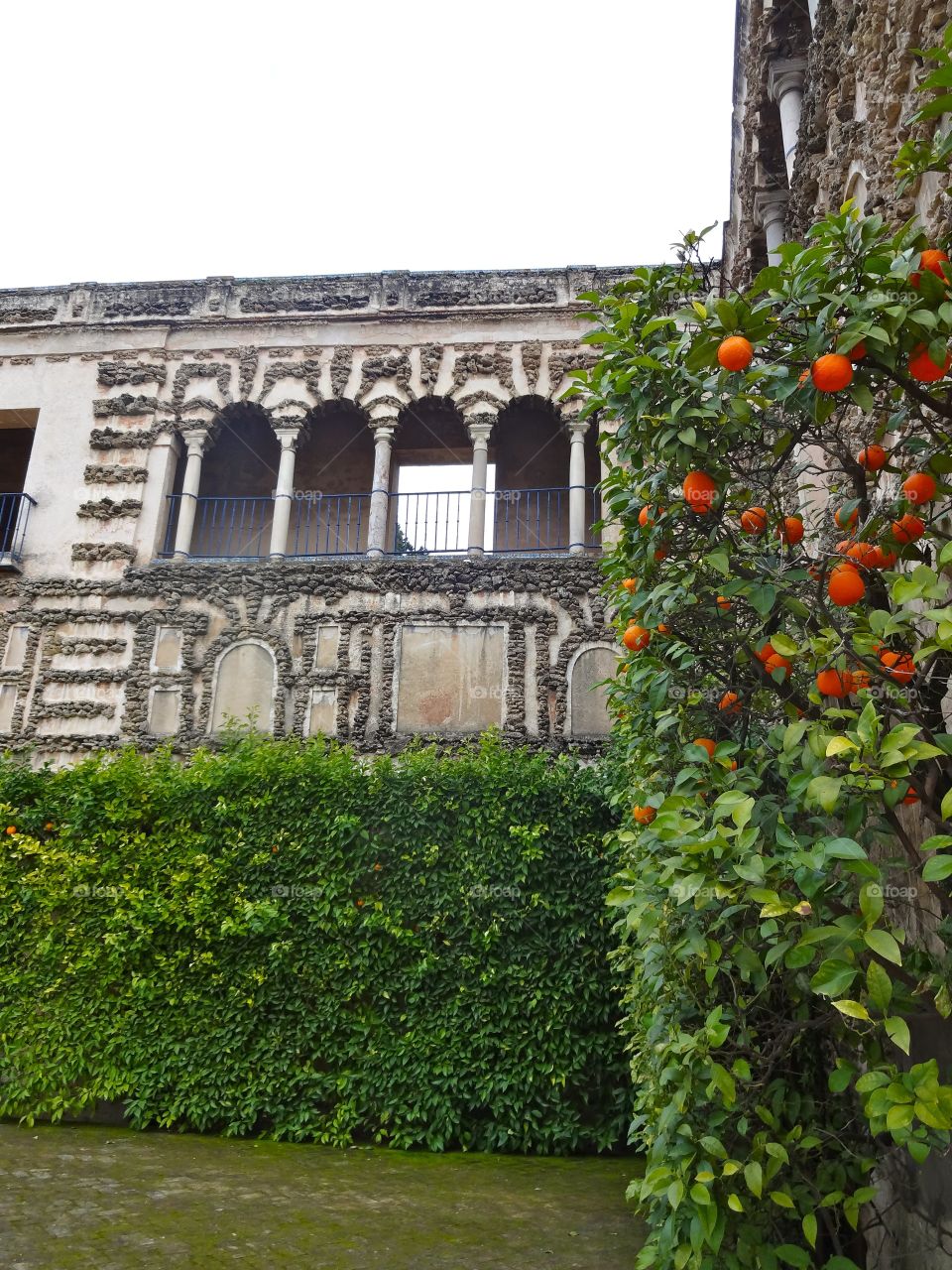 Alcázar in Sevilla, Spain