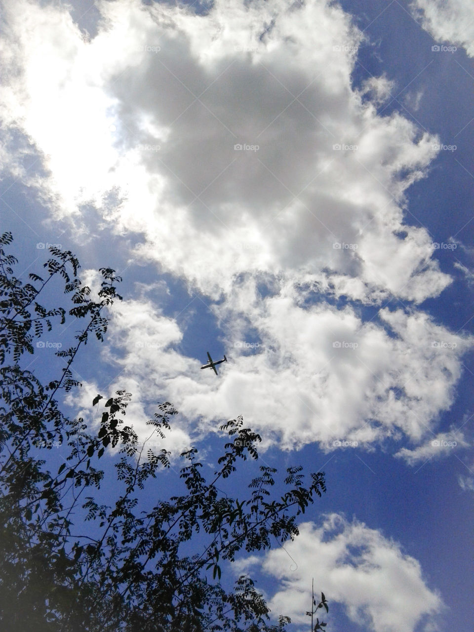Sky . Sky, cloud, blu, airplane, blu sky, beautiful view, landscape, tres, natural 