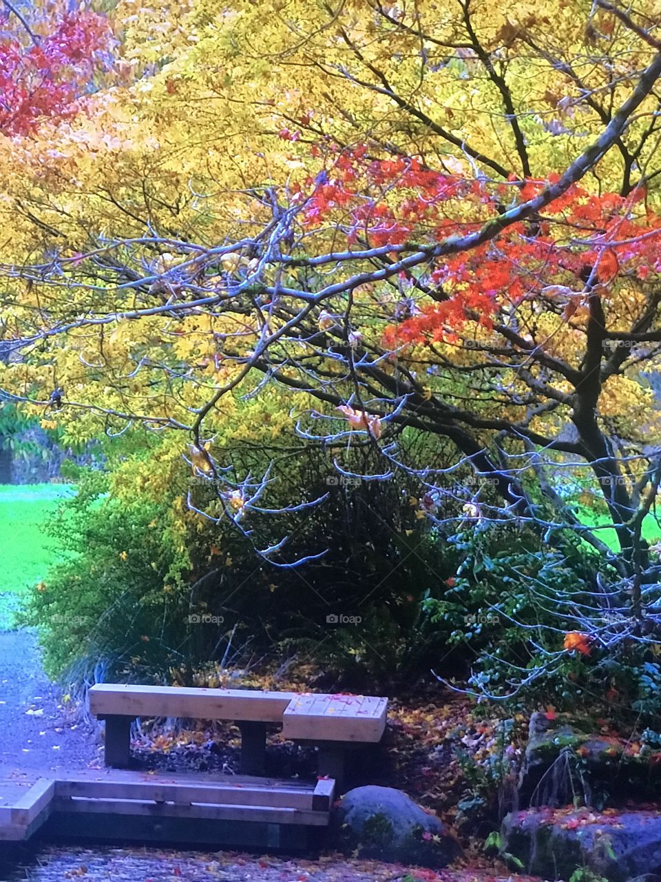 Washington Autumn Season 