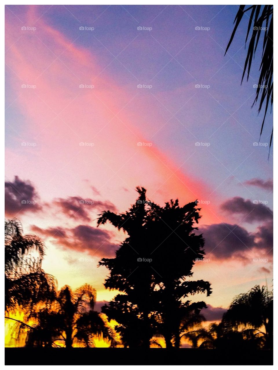 Sunrise in Florida #3