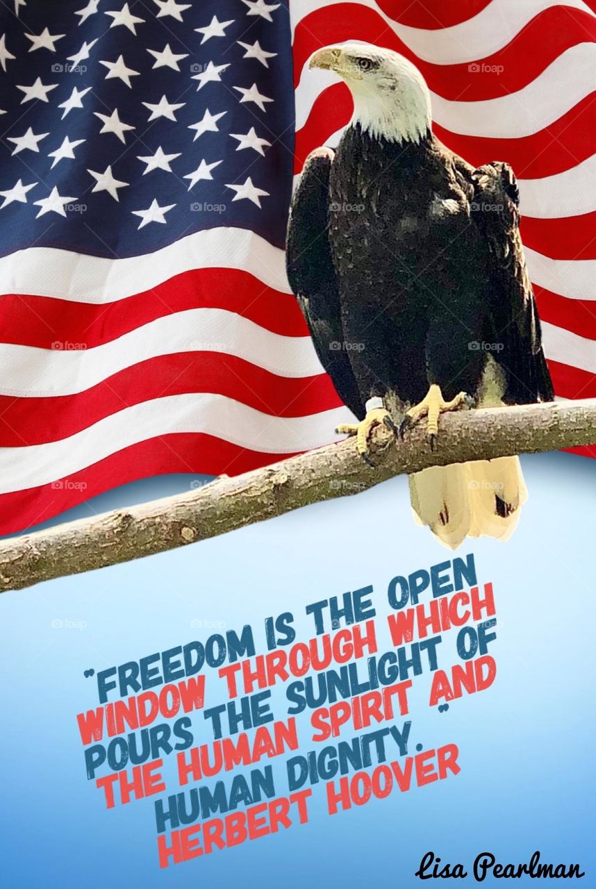 I created this Independence Day image blending together two of my photographs, an American flag waving in the breeze and a bald eagle perched on a branch, both shot on iphone. I added typography with a quote about freedom. 