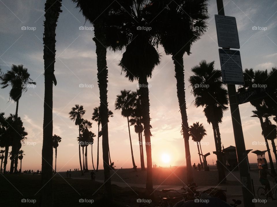 Sunset at Venice beach