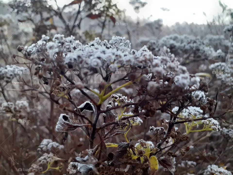 early morning photo outside