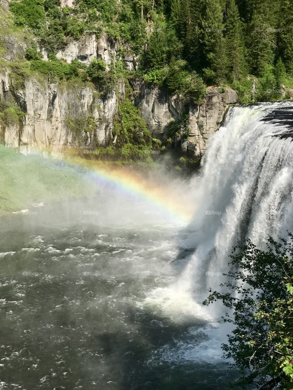 Rainbow at the falls