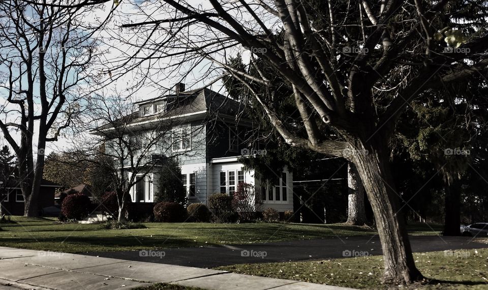 House Flanked by Tall Trees