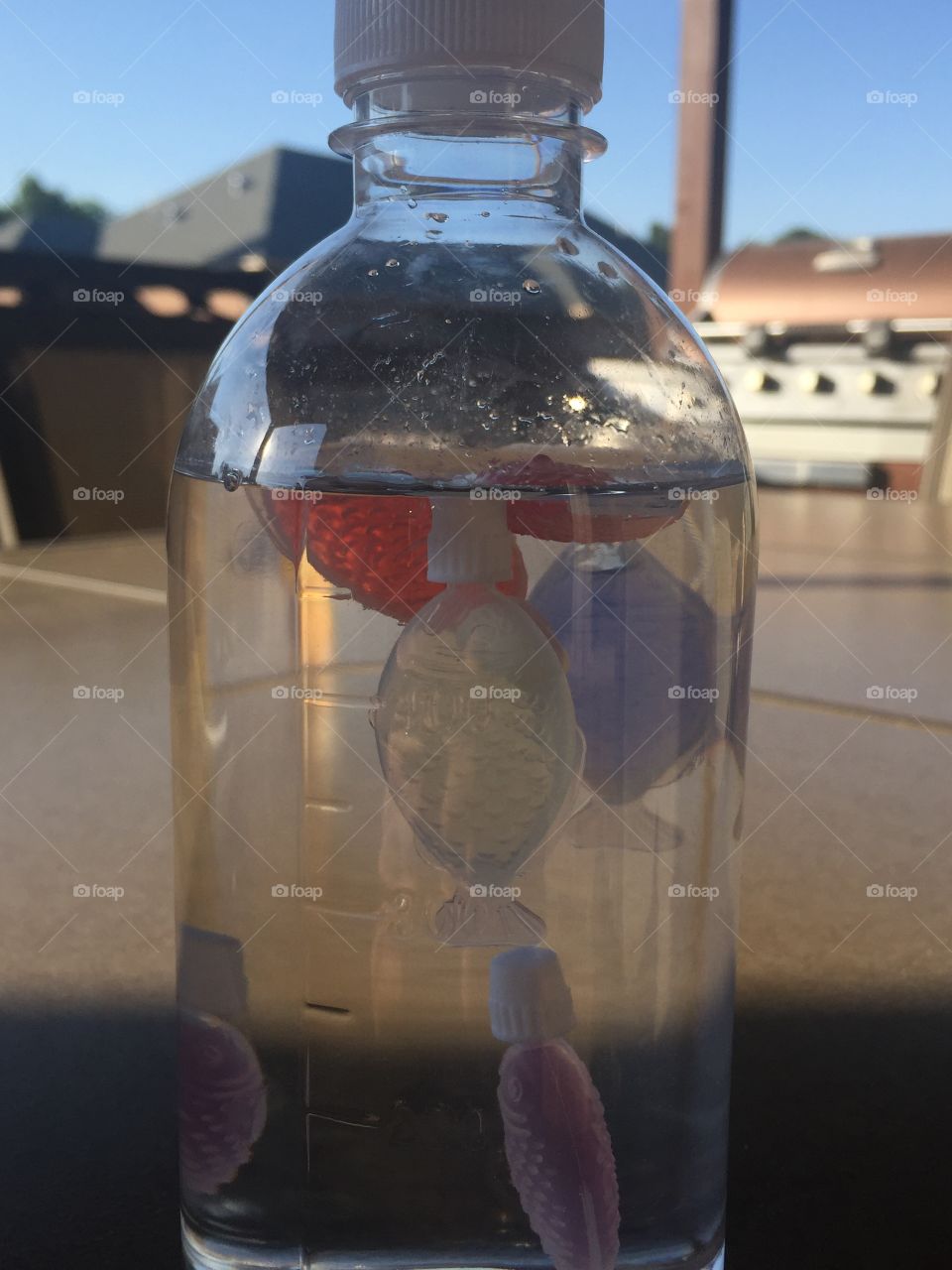 Fish in a bottle