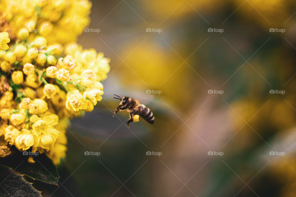 Celebrating spring