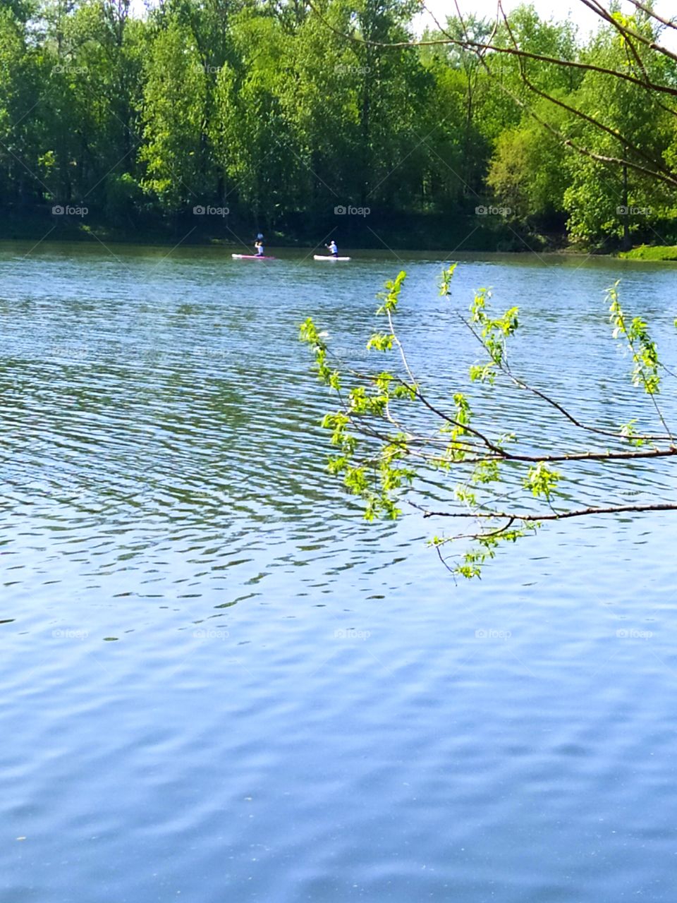 River.  In the distance, two people are floating on paldboards