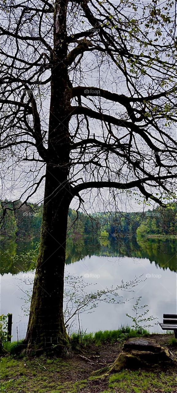 This is the „Eginger See“, the „Eging Lake“ near the township of „Eging“ in the „Bayerischer Wald“, the „Bavarian Forest“. The lake is so still and so crystal clear that it renders a perfect reflection of its surroundings. 2024. Hypnotic Productions