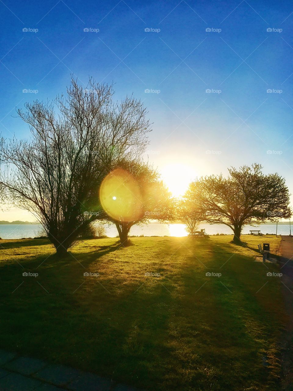 Sunrise  at the Harbour ☀️☀️☀️