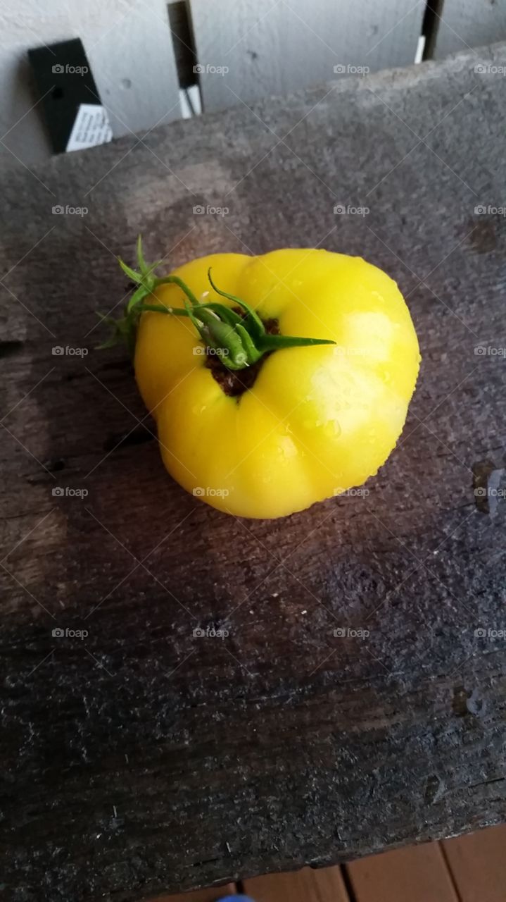 yellow tomato