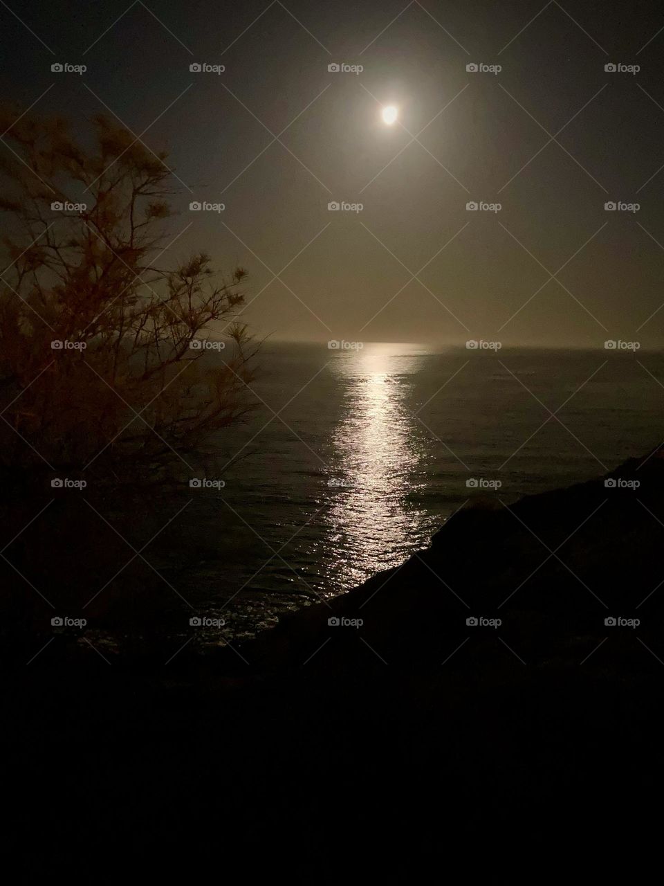 Moon set upon the Ocean