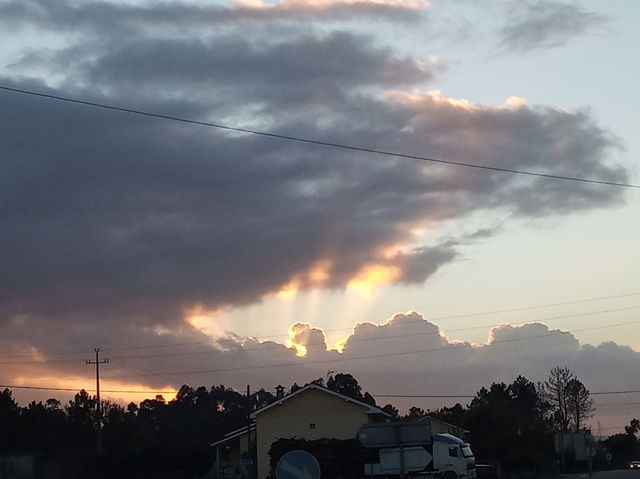 Sun Rays