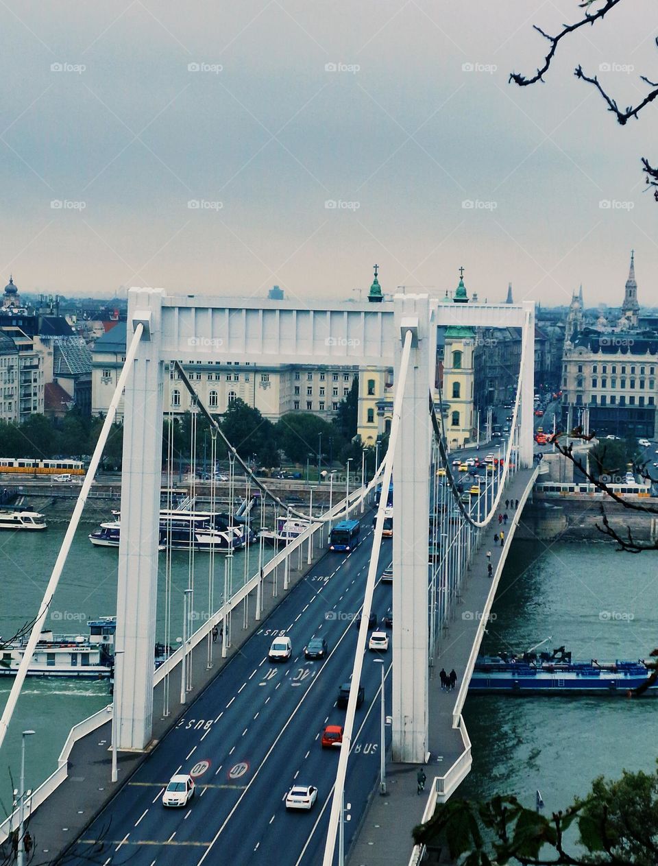 Elisabeth bridge, Budapest