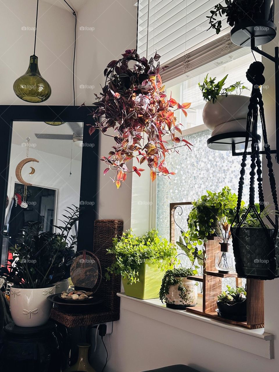 All in bloom