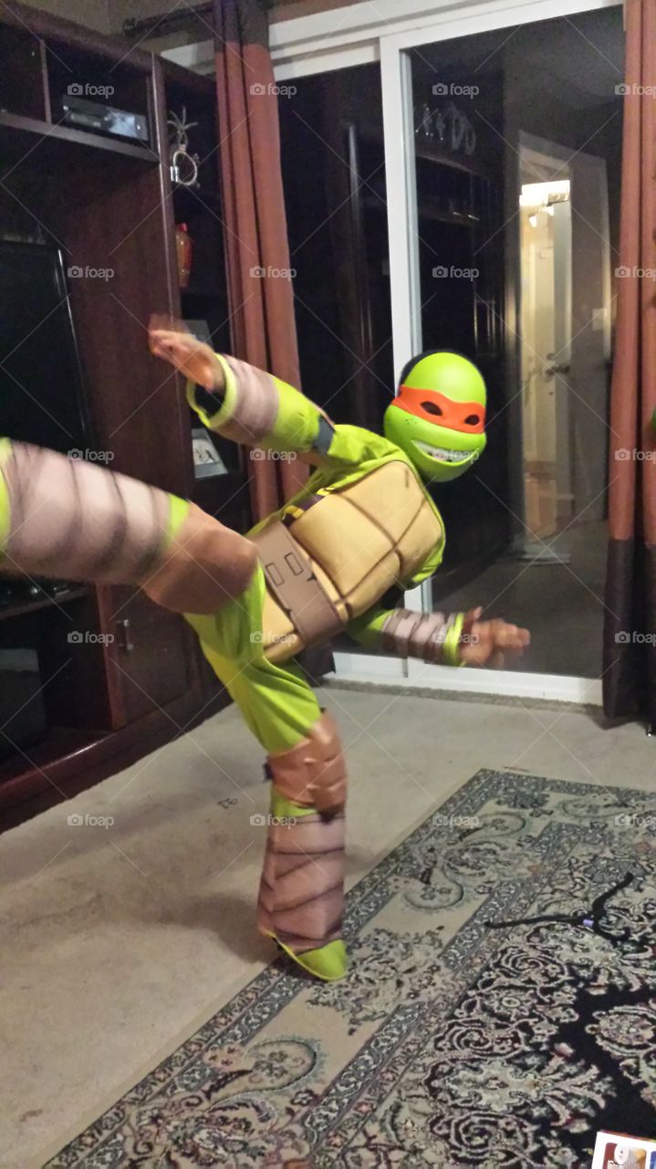 Turtle ninja