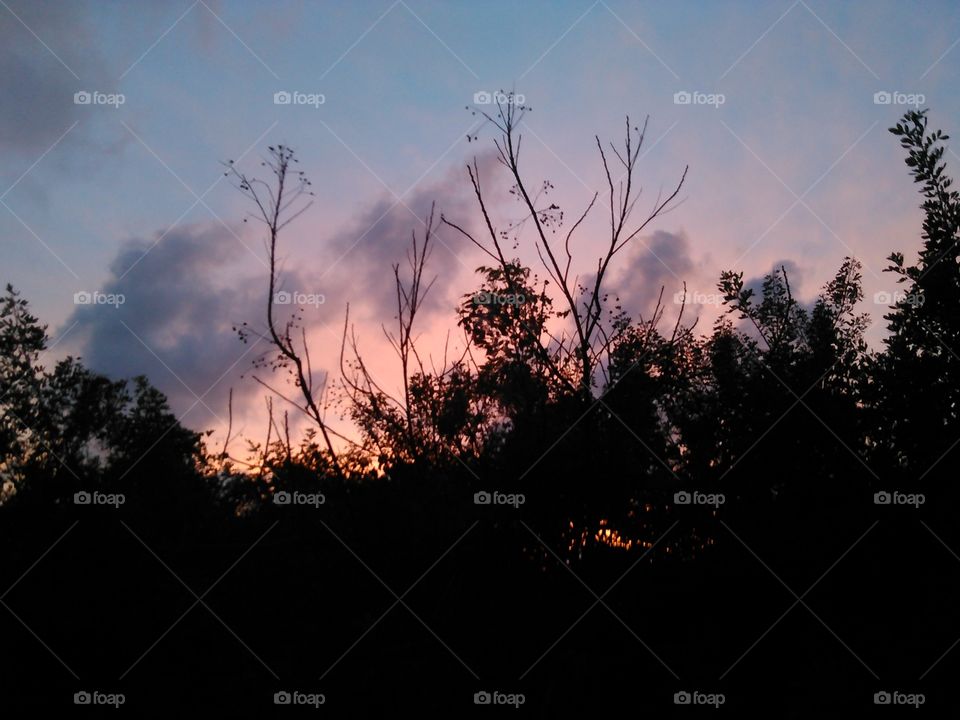 The setting sun.... Shot of the sunset from my backyard...