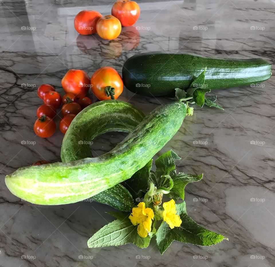 Just picked veggies from the garden 