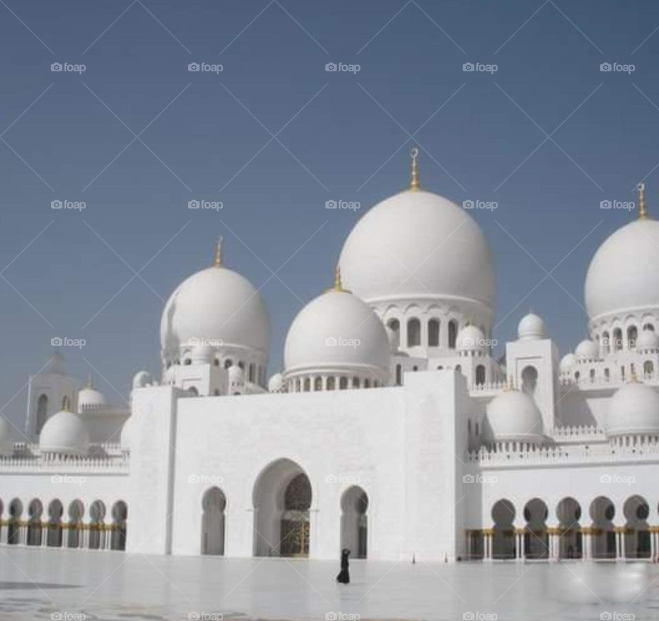 Sheikh Zahed Grand Mosque