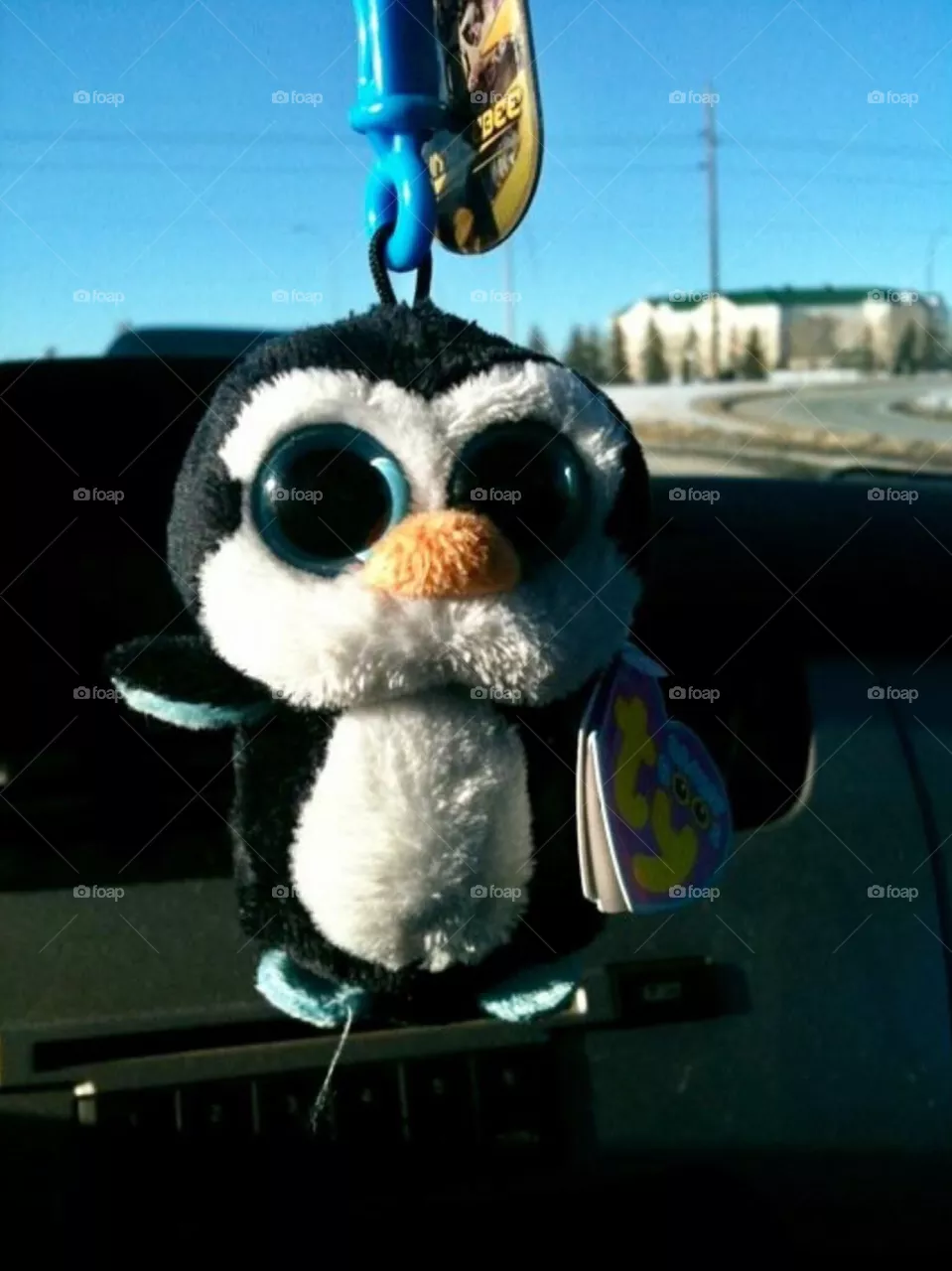 Penguin