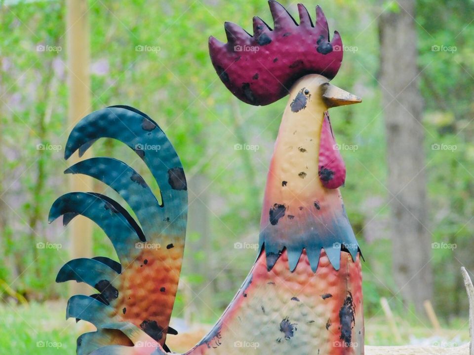 Chicken Statue 
