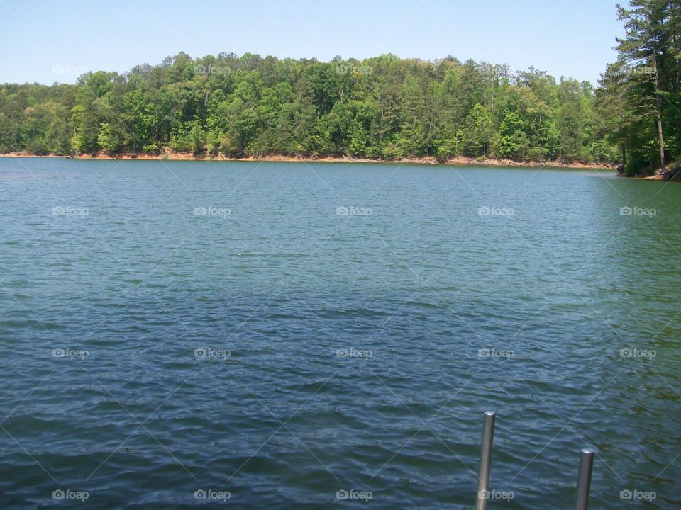 at the lake