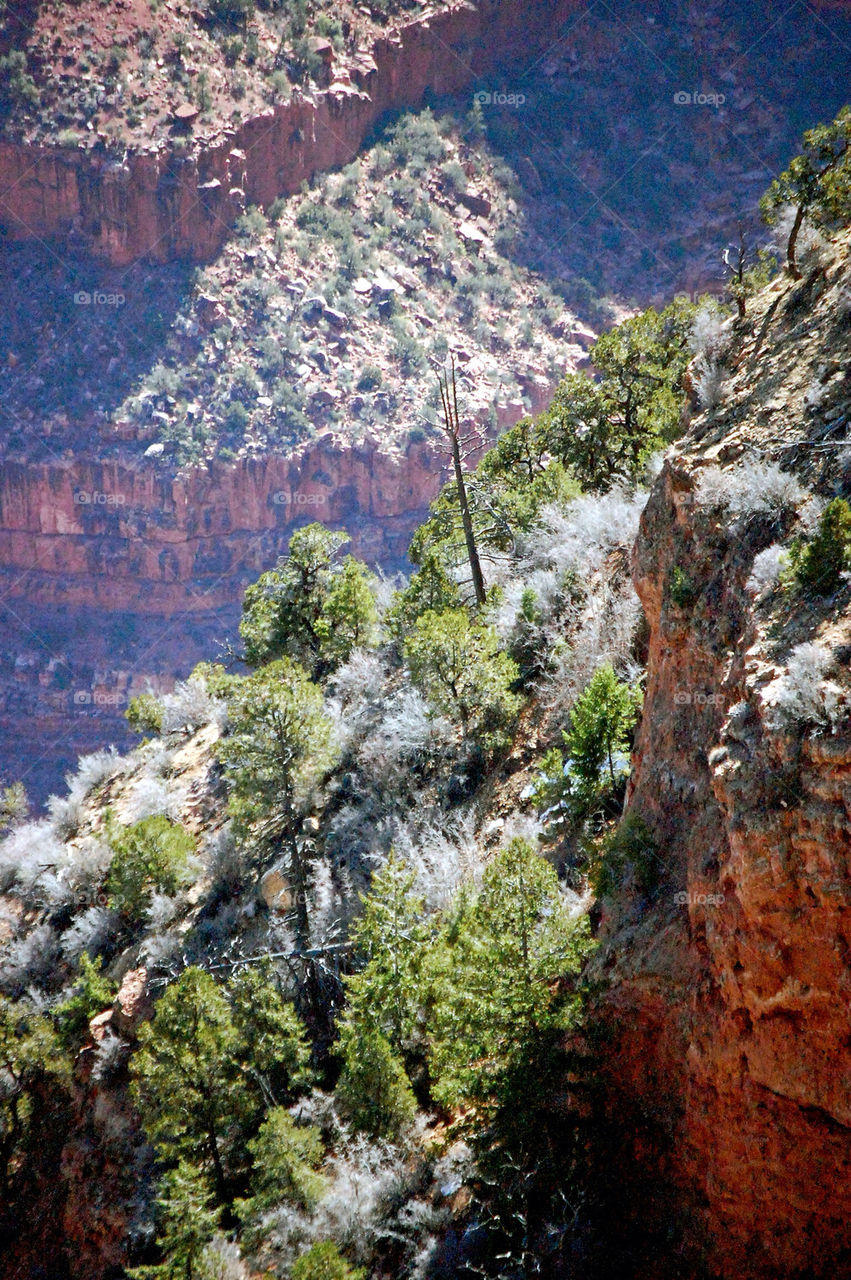 arizona grand canyon by refocusphoto