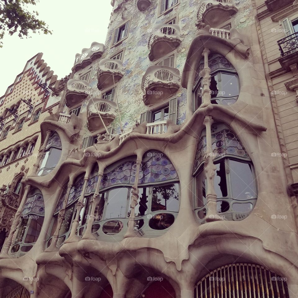 Gaudi  European