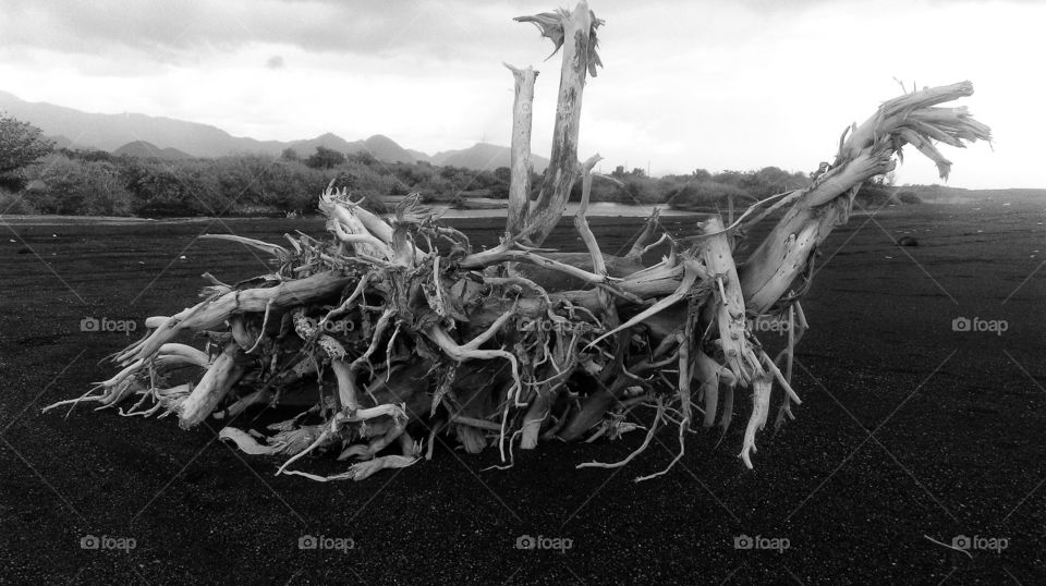 Way to deal with the world ...future is unknown...adapt 