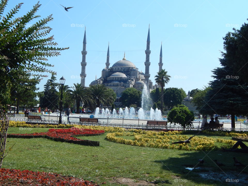 The famous blue mosque in Istanbul 