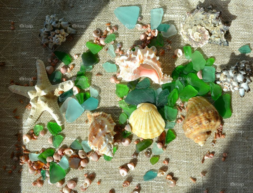 sea shells and glass